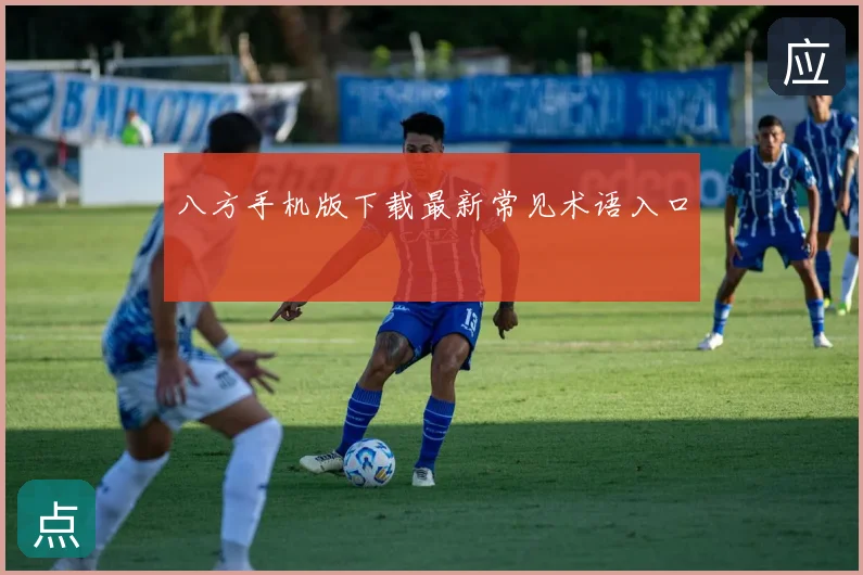 八方手机版下载最新常见术语入口